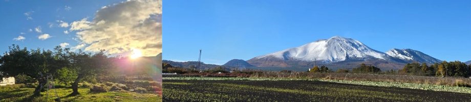 観光農園 軽井沢